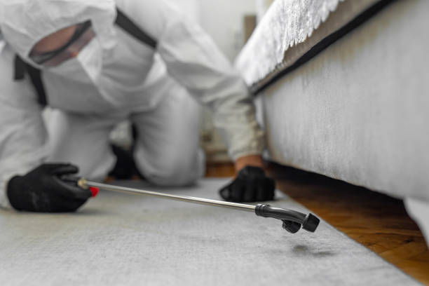Professional Cockroach Control technician working in Belgium, WI